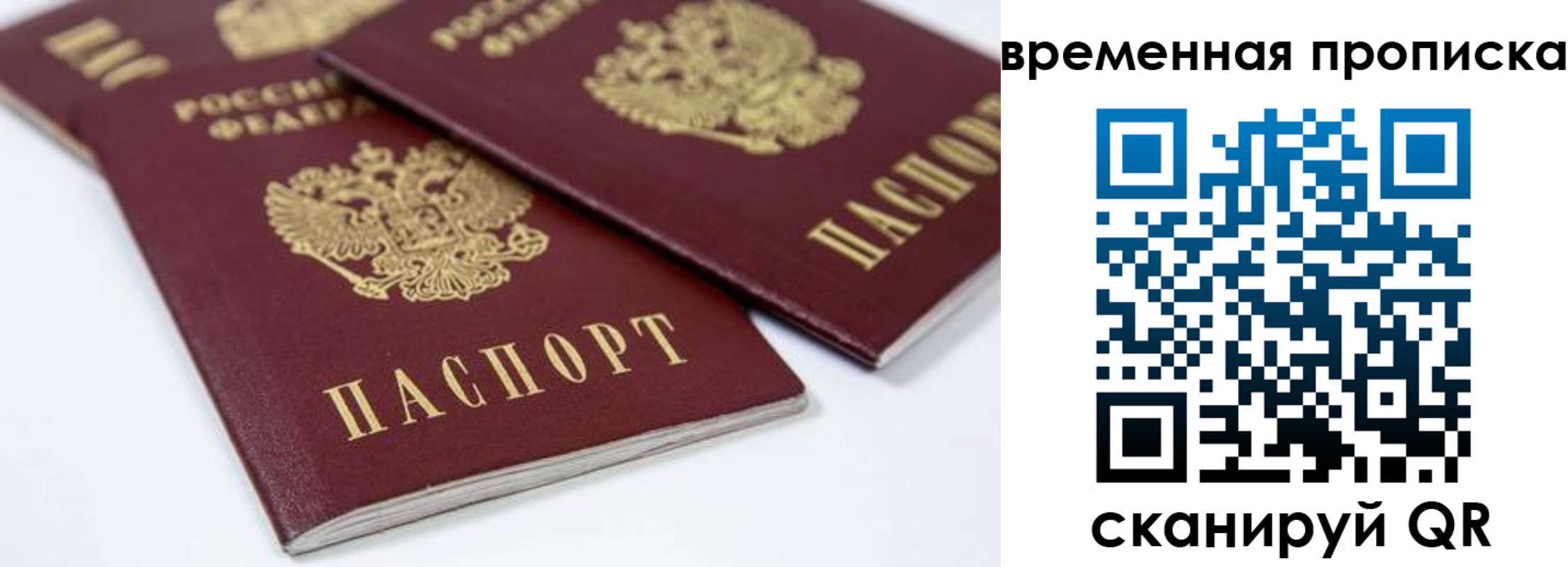 прописка для школы в Струнино